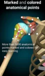 Anatomy Learning – 3D Anatomy Latest Android MOD APP (4)