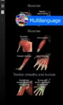 Anatomy Learning – 3D Anatomy Latest Android MOD APP (7)