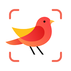 Free Download Picture Bird - Bird Identifier Android MOD APP. Get Latest Updated Premium Version APK