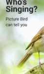 Picture Bird – Bird Identifier Latest Android MOD APP (2)
