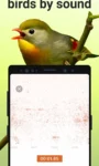 Picture Bird – Bird Identifier Latest Android MOD APP (4)