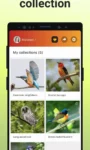 Picture Bird – Bird Identifier Latest Android MOD APP (7)