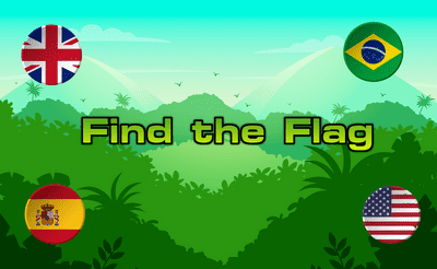 Find the Flag Banner