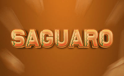 Saguaro Banner