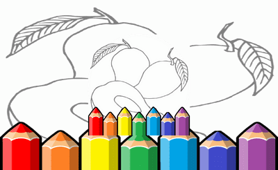 Amazing Fruit Pictures For Kids Banner