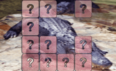 Crocodile Memory Match Banner
