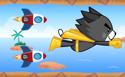 Flying Cat Banner