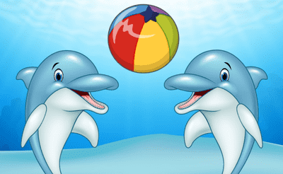 Dolphin Show Banner