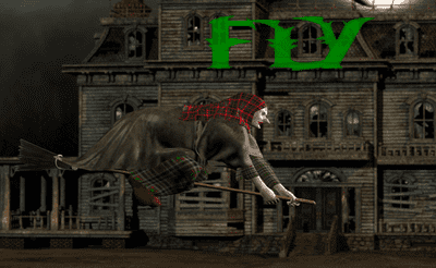 Flappy Witch Banner