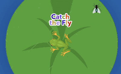 Catch the Fly Banner