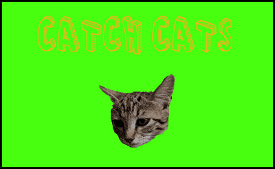 Catch Cats Banner