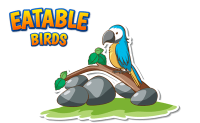 Eatable Birds Banner