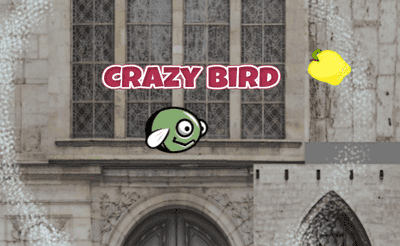 CrazyBird Banner