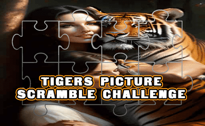 Tigers Picture Scramble Challenge Banner