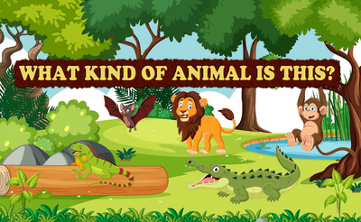 What Kind of Animal is This Banner