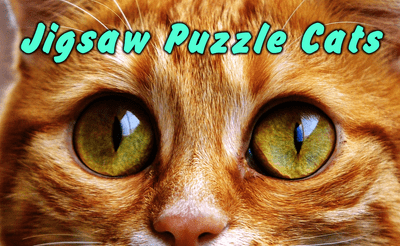 Jigsaw Puzzle Cats Banner