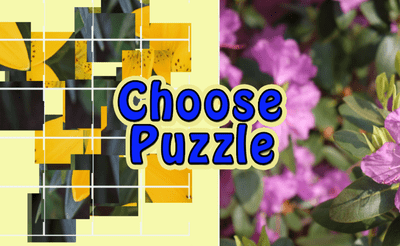 Choose Puzzle Banner