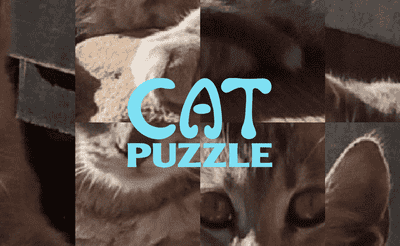 Cat Puzzle Banner