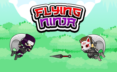 Flying Ninja Banner