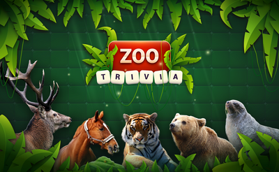 Zoo Trivia Banner