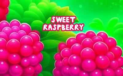 Sweet Raspberry Banner